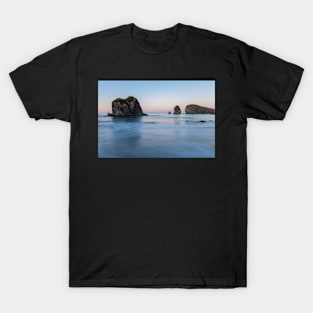 Harris Beach at Dawn T-Shirt